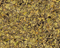 Yerba Mate thee