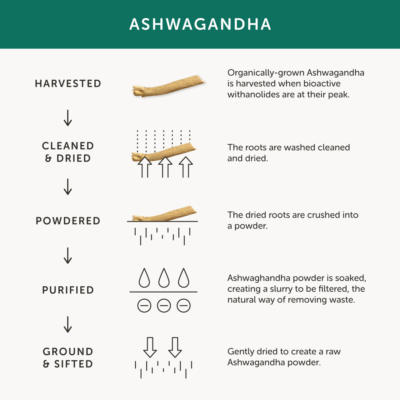 Ashwagandha Biologisch Together Health